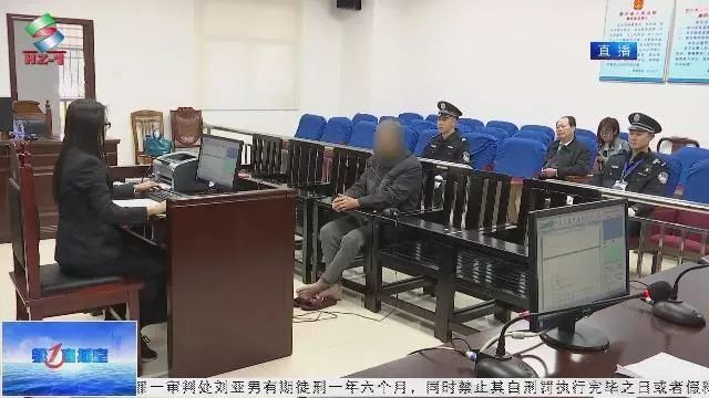 惠东一校车司机醉酒驾车 被判处危险驾驶罪拘役四个月