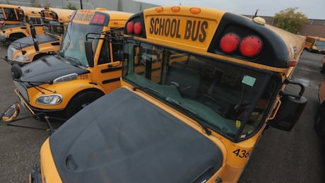 加拿大安大略省：校车司机运送学生图中玩手机，女校车司机被控分心驾驶罪